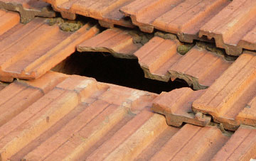 roof repair Dippenhall, Surrey